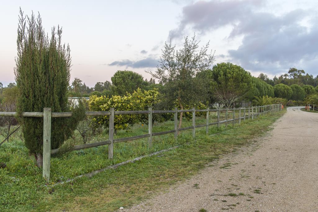 Monte Macario Alojamento Local Coruche Luaran gambar