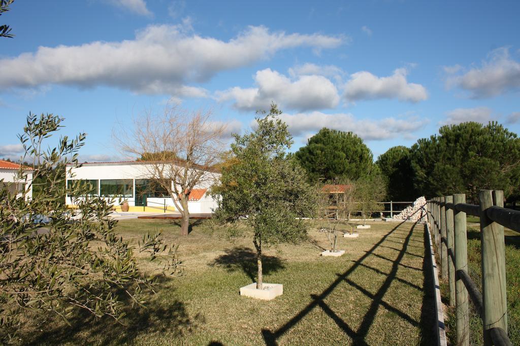 Monte Macario Alojamento Local Coruche Luaran gambar